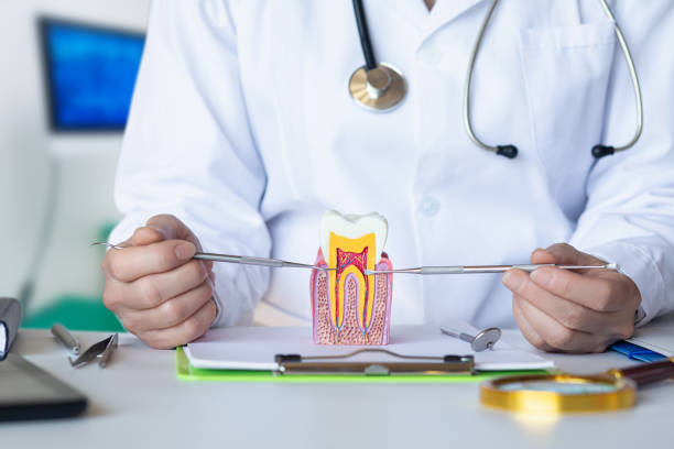 Best Broken or Cracked Tooth Emergency Dentist in Healdton, OK